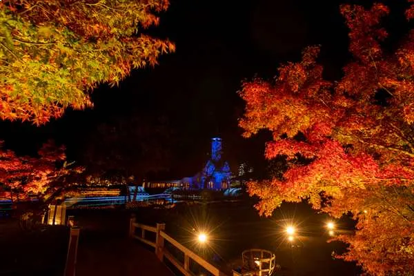 สระน้ำ สะพานไม้ และต้นเมเปิล สระน้ำ สะพานไม้ และต้นเมเปิล