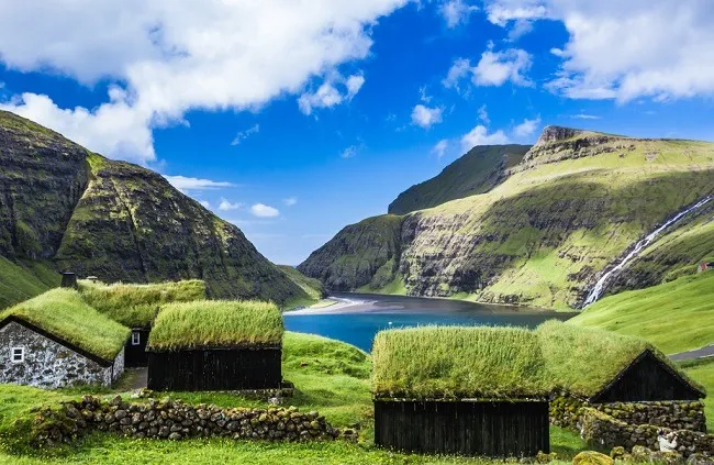 ทุ่งหญ้าในเดนมาร์ก ทุ่งหญ้าในเดนมาร์ก