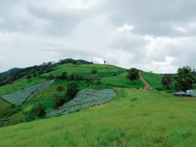 ดอยแม่โถ ดอยแม่โถ