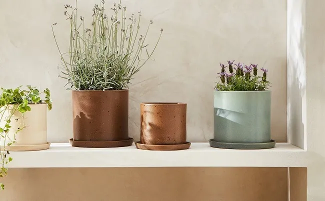 กระถางต้นไม้หลายสี กระถางต้นไม้หลายสี