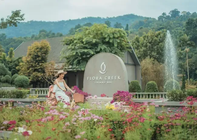 ฟลอร่า ครีก เชียงใหม่ ฟลอร่า ครีก เชียงใหม่