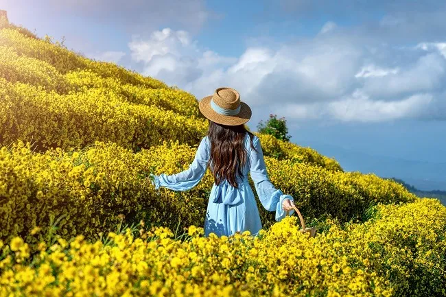 บรรยากาศสวนดอกไม้ Flower Lovers