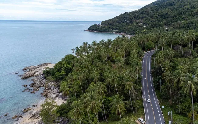 ถนนท่ามกลางธรรมชาติ ถนนท่ามกลางธรรมชาติ