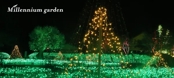 สวนต้นไม้ประดับไฟ สวนต้นไม้ประดับไฟ