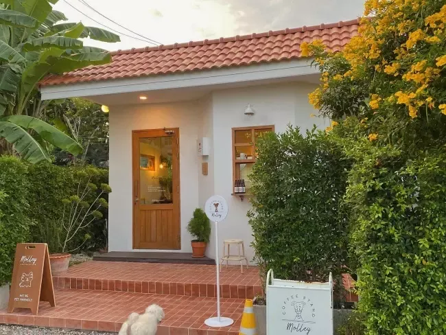 คาเฟ่ Molley Coffee Stand