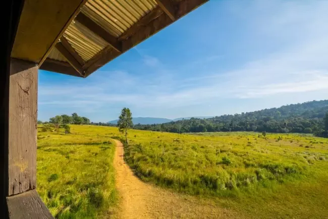 หอดูสัตว์ หอดูสัตว์