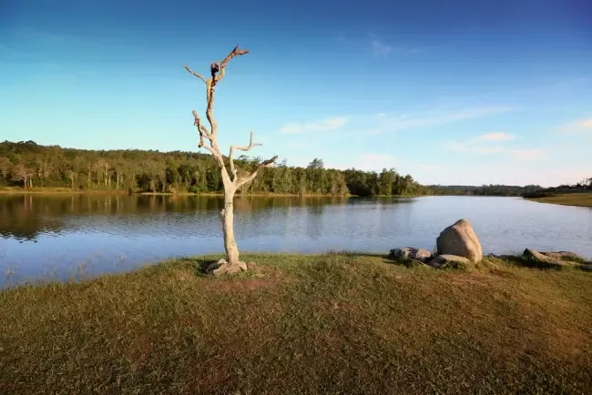 อ่างเก็บน้ำสายศร อ่างเก็บน้ำสายศร