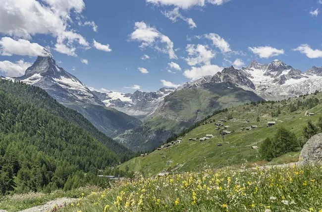บรรยากาศทุ่งหญ้าสวิตเซอร์แลนด์ บรรยากาศทุ่งหญ้าสวิตเซอร์แลนด์