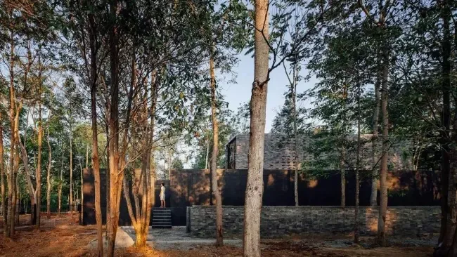 คาเฟ่ Yellow Submarine Coffee Tank