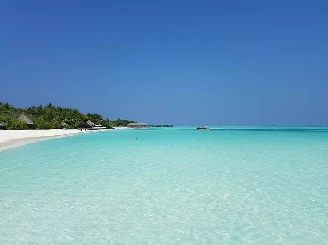 ทะเลมัลดีฟส์ ทะเลมัลดีฟส์
