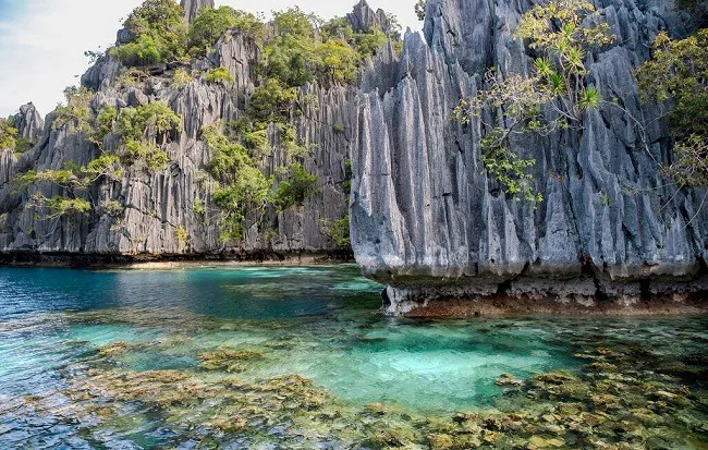 เกาะปาลาวัน