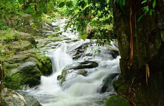 น้ำตกดาดฟ้า