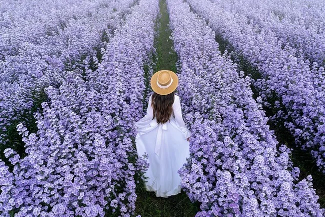 ผู้หญิงยืนอยู่ในสวนดอกไม้