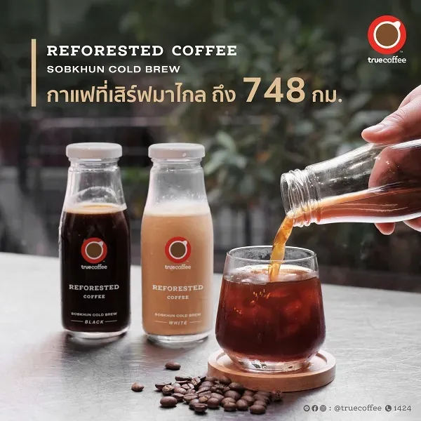 คนกำลังเทกาแฟ Cold Brew