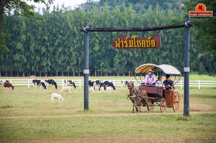  ฟาร์มโชคชัย