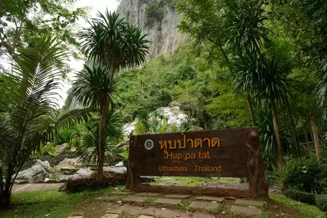 หุบป่าตาด