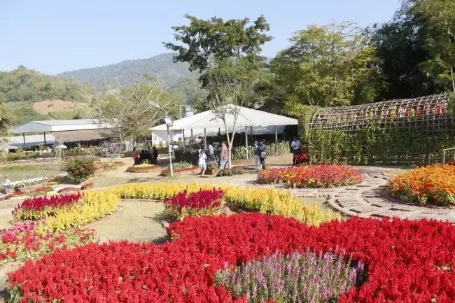 บ้านแก่นมะกรูด