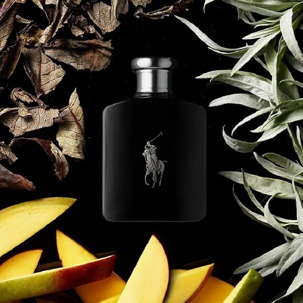RALPH LAUREN Polo Black EDT RALPH LAUREN Polo Black EDT