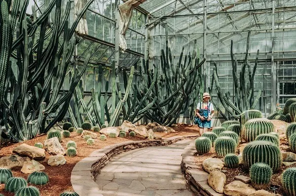 ผู้หญิงกำลังเดินอยู่ในสวนพฤกษศาสตร์สมเด็จพระนางเจ้าสิริกิติ์