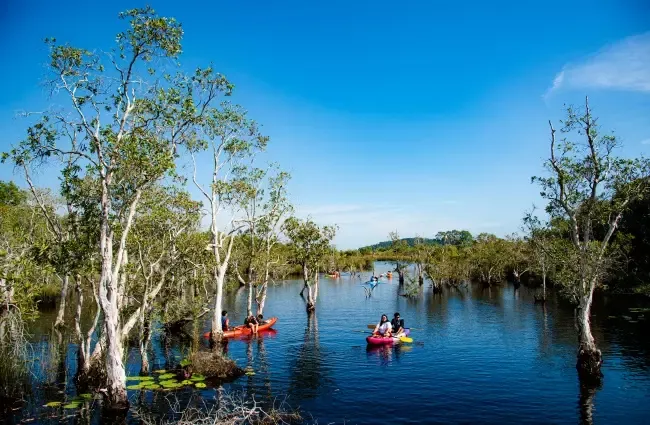 สวนพฤกษศาสตร์