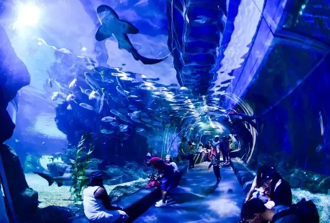 พิพิธภัณฑ์สัตว์น้ำ