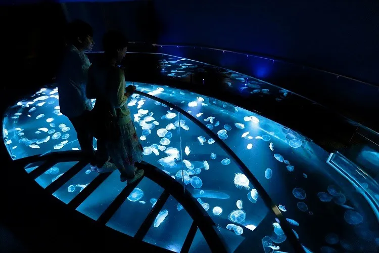  Sumida Aquarium