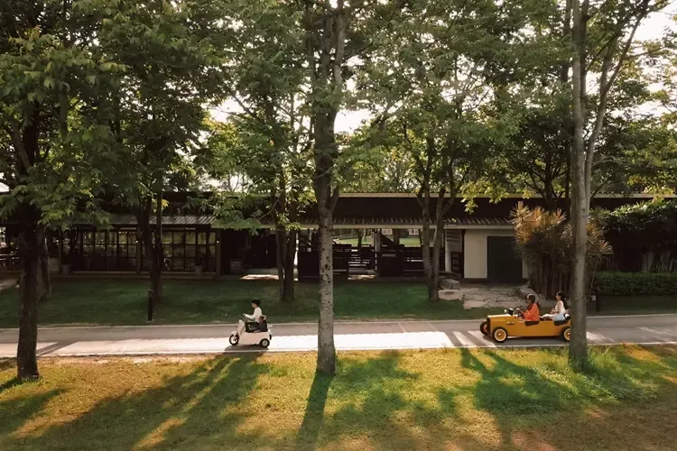 ขับรถวินเทจมินิเที่ยวชมแรนโช ชาญวีร์ เขาใหญ่