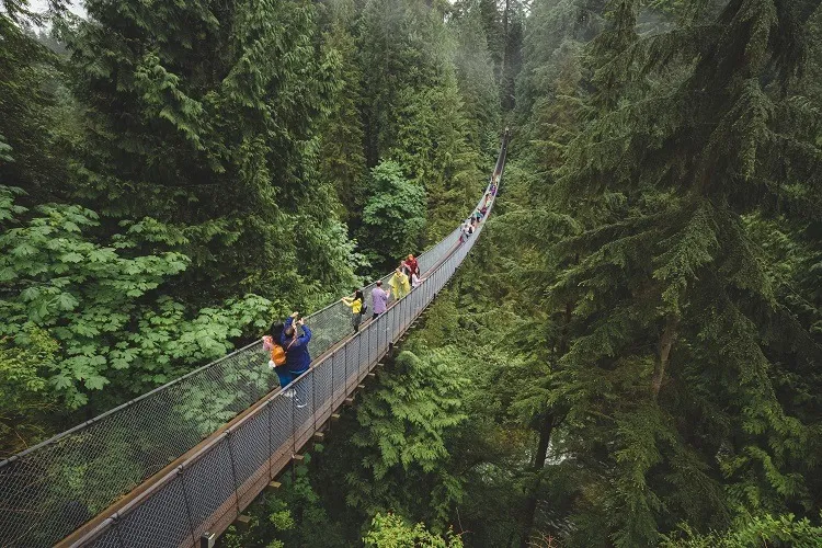 Capilano Suspension Bridge