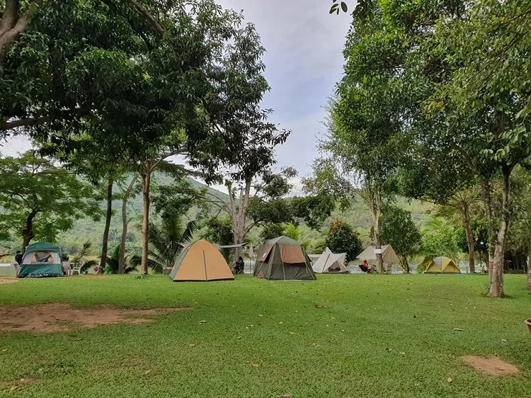 ณ นนท์ ลานกางเต็นท์