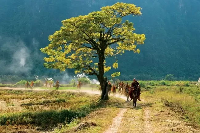 วัดถ้ำป่าอาชาทอง