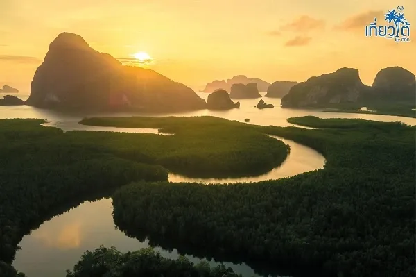 เสม็ดนางชี