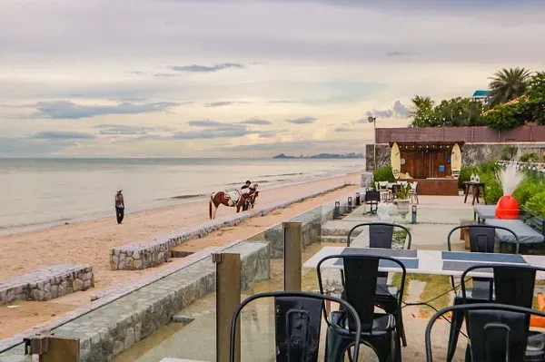 บรรยากาศร้าน Coral Vine Bar & Restaurant ริมทะเล