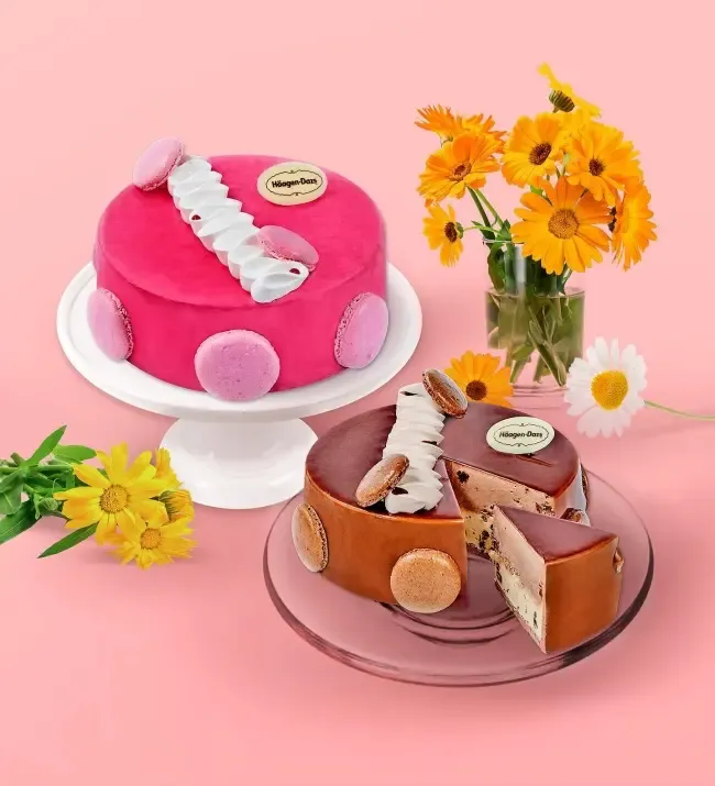 เค้กไอสกรีม Le Macaron Ice Cream Cakes