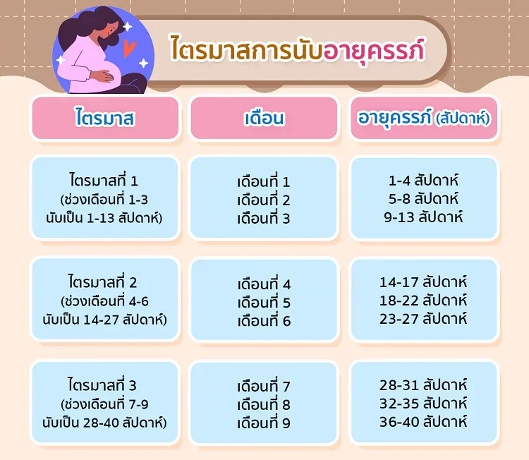 การนับไตรมาสการตั้งครรภ์ด้วยตัวเอง