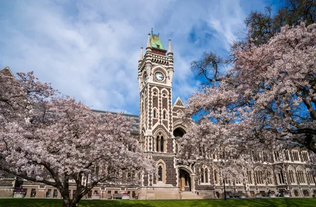 สถาบันการศึกษา University of Otago