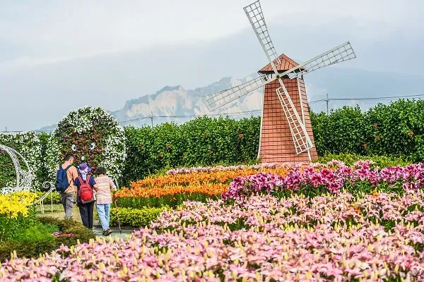 ดอกไม้ใน Zhongshe Flower Market Taichung
