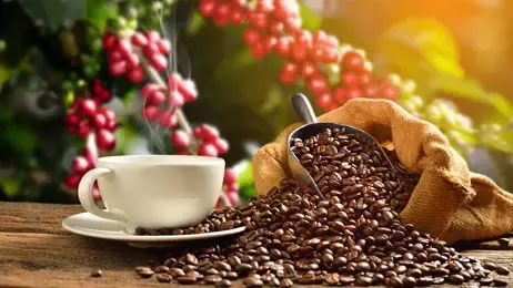 เมล็ดกาแฟ