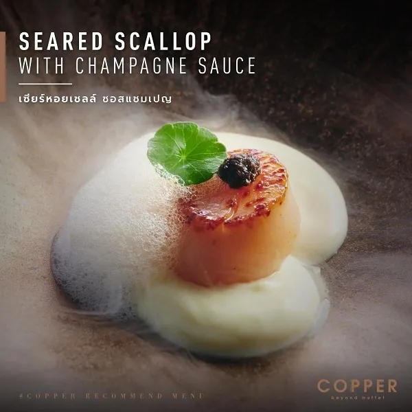 เซียร์หอยเชลล์ ซอสแชมเปญ