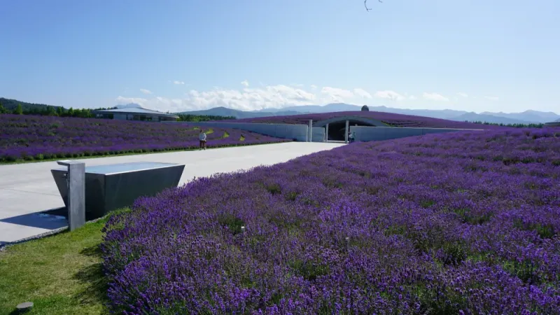 ภายนอกเนินพระพุทธเจ้า (Hill of The Buddha) ภายนอกเนินพระพุทธเจ้า (Hill of The Buddha)