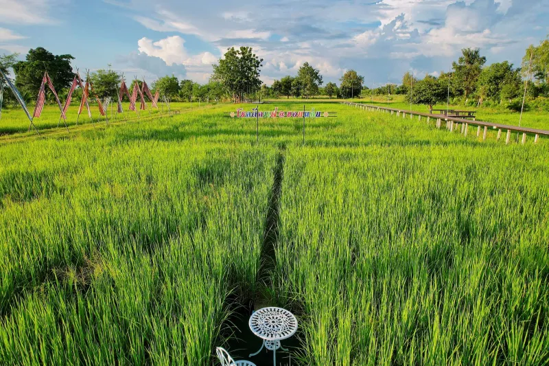 คาเฟ่ขอนแก่น 