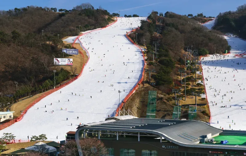 Daemyung Vivaldi Park Ski Resort, Gangwon-do 