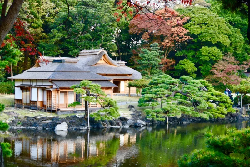 สวนฮามะริคิว (Hamarikyu Gardens) สวนฮามะริคิว (Hamarikyu Gardens)