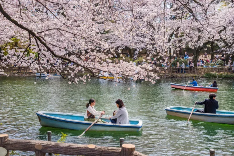 สวนอิโนะคาชิระ (Inokashira Park) สวนอิโนะคาชิระ (Inokashira Park)