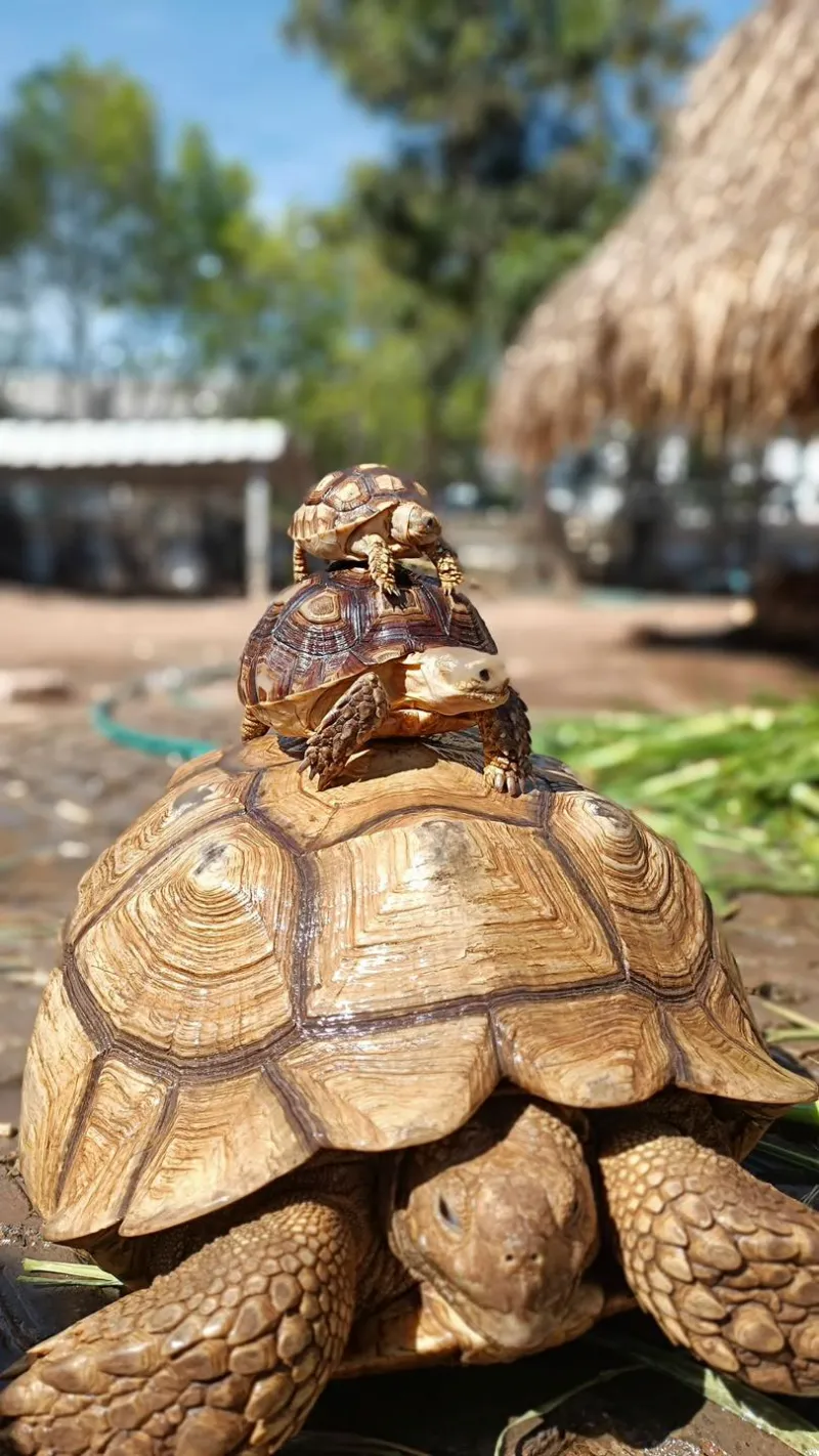 เที่ยวขอนแก่น ในเมือง