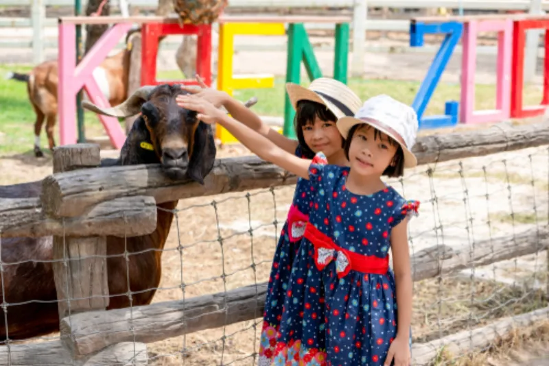 สวนสัตว์ขอนแก่น ที่เที่ยวขอนแก่น ในเมือง