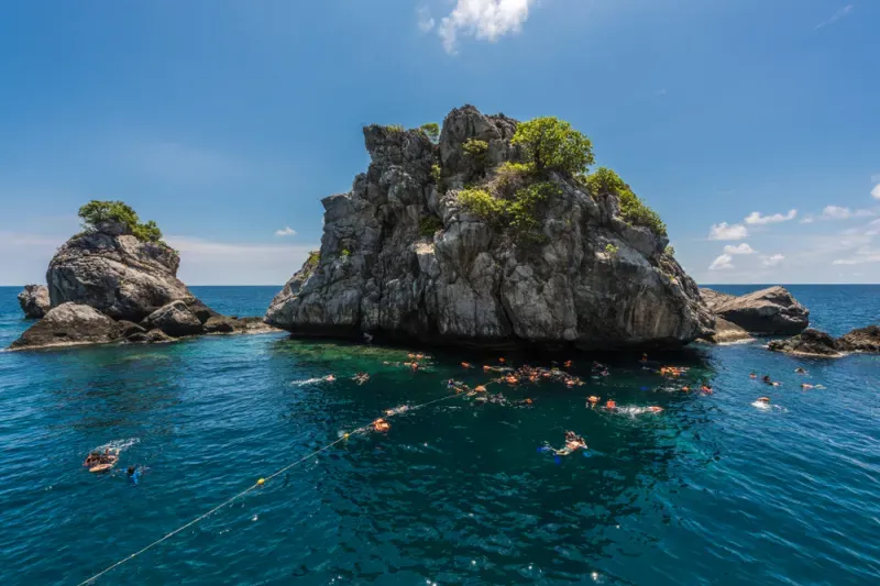 ดำน้ำ ชุมพร ดำน้ำ ชุมพร