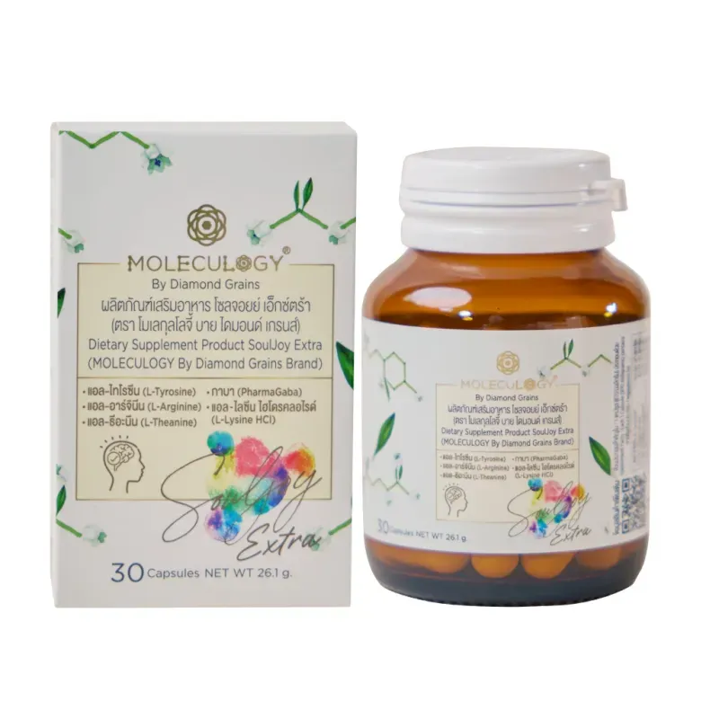 อาหารเสริมบำรุงสมอง ทำงาน อาหารเสริมบำรุงสมอง ทำงาน