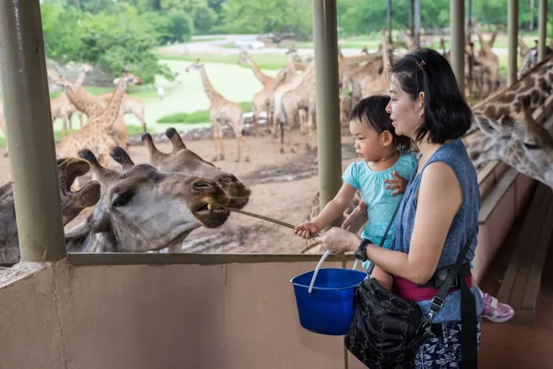 ซาฟารีเวิลด์ โปรโมชั่น