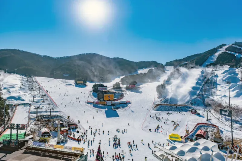 Welli Hilli Park Resort, Gangwon-do