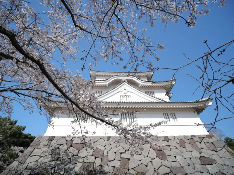 ปราสาทโอตากิ ปราสาทโอตากิ